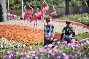 BIB: 
                            <button type="button" onclick="openModal(27793021)" class="btn btn-primary btn-sm float-right btn-popup" data-toggle="modal" data-target=".modal-high-quality">
                        <i class="fas fa-shopping-cart"></i> Add to Cart
                    </button>
                                            <button type="button" onclick="isThisMe(27793021, true)" class="btn btn-success btn-sm float-right btn-popup btn-isme hidden" data-toggle="tooltip" data-placement="bottom" title="นี่คือรูปของคุณใช่ไหม คลิกที่นี่เพื่อเอาเข้าอัลบั้ม">
                        <i class="fas fa-plus"></i> Add to album
                    </button>
                    <button type="button" onclick="isThisMe(27793021, false)" class="btn btn-warning btn-sm float-right btn-popup btn-isnotme hidden">
                        <i class="fas fa-ban"></i> Remove from album
                    </button>